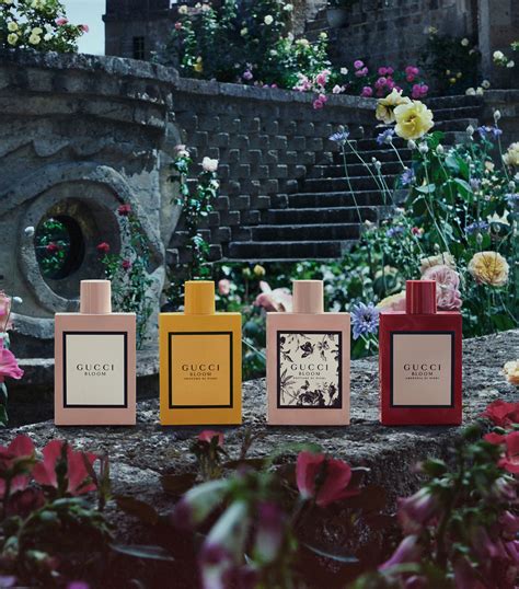 gucci bloom profumo di fiori dupe|gucci bloom acqua di fiori.